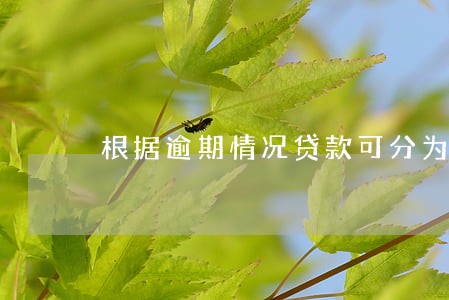 根据逾期情况贷款可分为 根据逾期情况贷款可分为