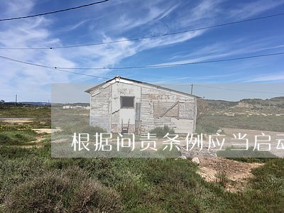 根据问责条例应当启动 根据问责条例应当启动
