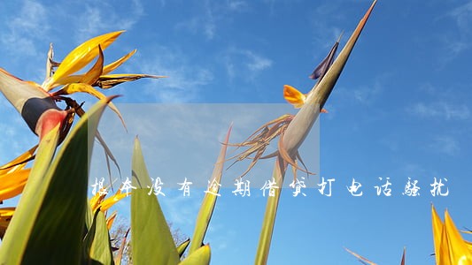 根本没有逾期借贷打电话骚扰 根本没有逾期借贷打电话骚扰