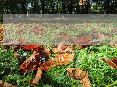 根河市债权融资律师 根河市债权融资律师