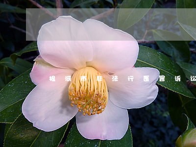 根河市非法行医罪诉讼律师 根河市非法行医罪诉讼律师