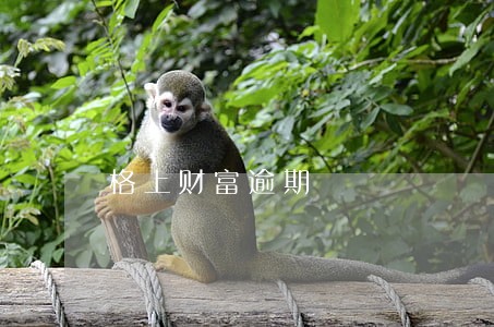 格上财富逾期 格上财富逾期