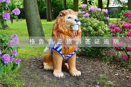 格鲁吉亚旅游签证逾期 格鲁吉亚旅游签证逾期