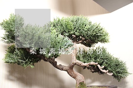 栾城离婚女律师价格增创优势