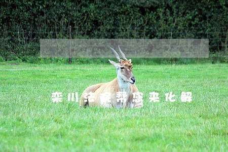 栾川法院帮您来化解 栾川法院帮您来化解