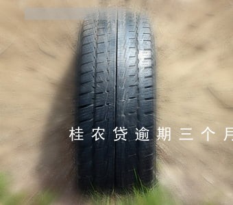 桂农贷逾期三个月怎么办 桂农贷逾期三个月怎么办
