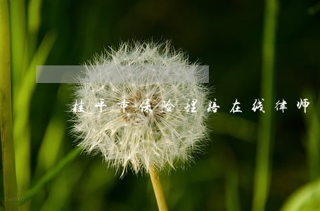 桂平市保险理赔在线律师 桂平市保险理赔在线律师