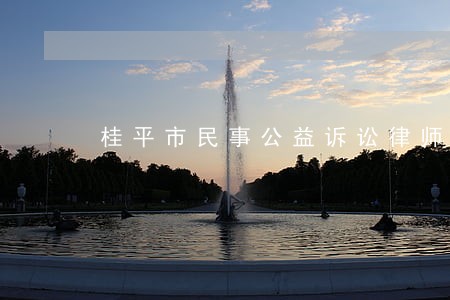 桂平市民事公益诉讼律师