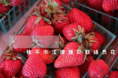 桂平市法律援助联络员花名册 桂平市法律援助联络员花名册