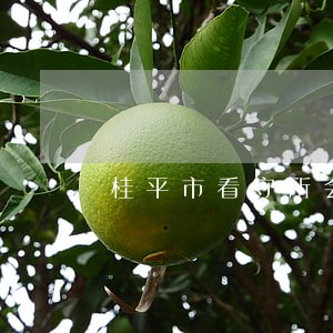 桂平市看守所会见律师介绍 桂平市看守所会见律师介绍