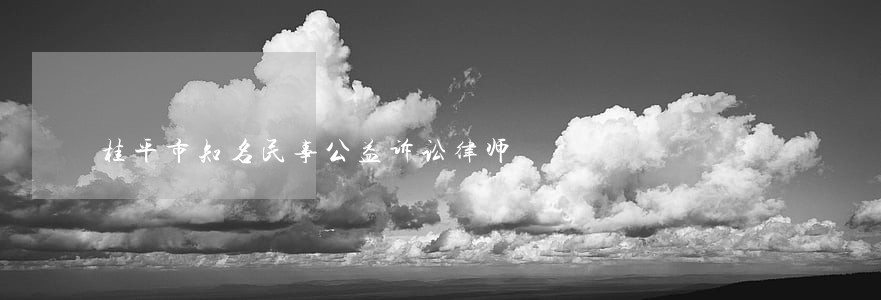 桂平市知名民事公益诉讼律师 桂平市知名民事公益诉讼律师