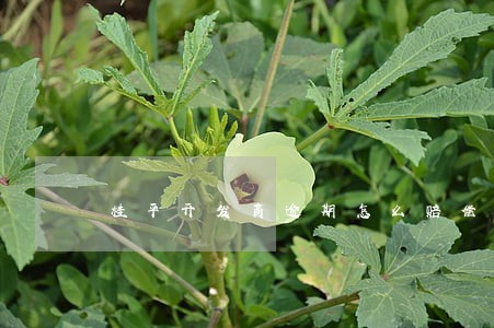 桂平开发商逾期怎么赔偿 桂平开发商逾期怎么赔偿