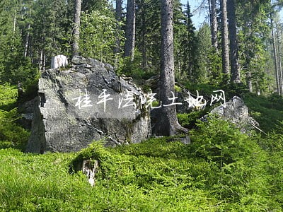 桂平法院土地网 桂平法院土地网