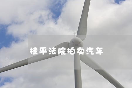 桂平法院拍卖汽车 桂平法院拍卖汽车
