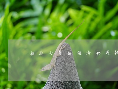 桂林七星区经济犯罪辩护律师收费 桂林七星区经济犯罪辩护律师收费