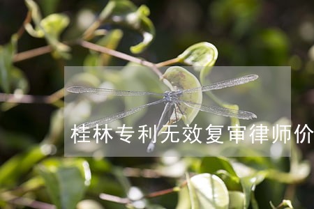 桂林专利无效复审律师价格 桂林专利无效复审律师价格