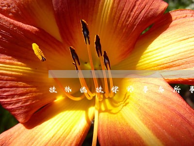桂林临桂律师事务所事务所 桂林临桂律师事务所事务所