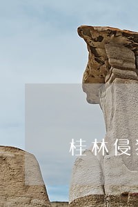 桂林侵犯他人商标权律师价格 桂林侵犯他人商标权律师价格