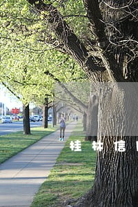 桂林信用卡逾期2天 桂林信用卡逾期2天