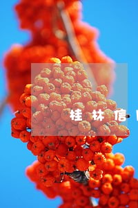 桂林信用卡逾期四天