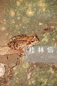 桂林信用卡逾期被银行停卡了 桂林信用卡逾期被银行停卡了