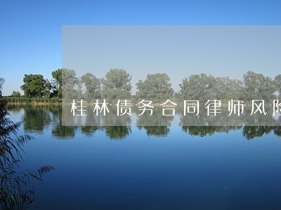 桂林债务合同律师风险代理 桂林债务合同律师风险代理