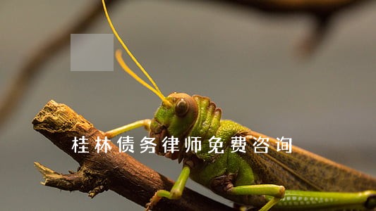 桂林债务律师免费咨询 桂林债务律师免费咨询
