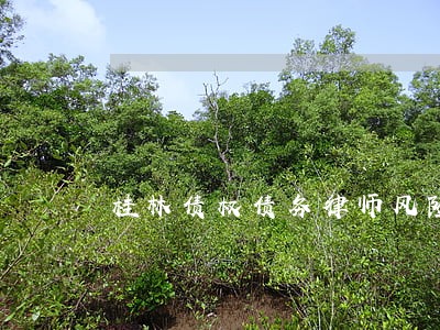 桂林债权债务律师风险代理 桂林债权债务律师风险代理