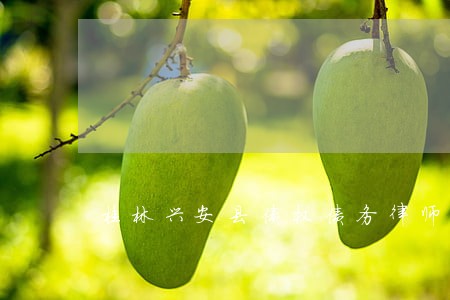 桂林兴安县债权债务律师 桂林兴安县债权债务律师