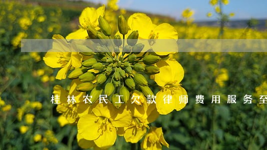 桂林农民工欠款律师费用服务至上