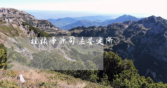 桂林华源司法鉴定所 桂林华源司法鉴定所