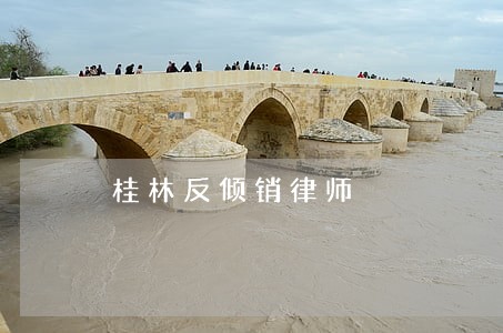 桂林反倾销律师 桂林反倾销律师