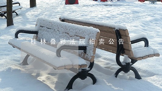 桂林叠彩法院拍卖公告