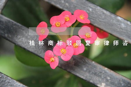 桂林商标驳回复审律师咨询