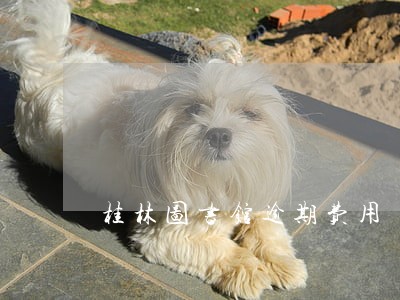 桂林图书馆逾期费用