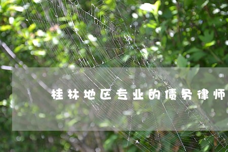 桂林地区专业的债务律师哪个好 桂林地区专业的债务律师哪个好