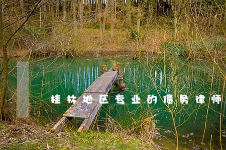 桂林地区专业的债务律师电话咨询