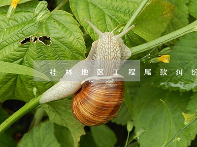 桂林地区工程尾款纠纷律师找哪个