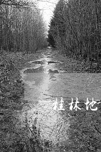 桂林地区擅长债权债务律师推荐 桂林地区擅长债权债务律师推荐