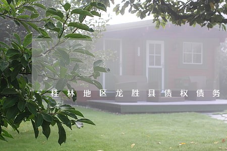 桂林地区龙胜县债权债务律师 桂林地区龙胜县债权债务律师
