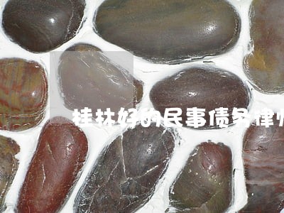 桂林好的民事债务律师
