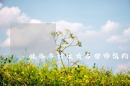 桂林市代理债务律师预约电话 桂林市代理债务律师预约电话