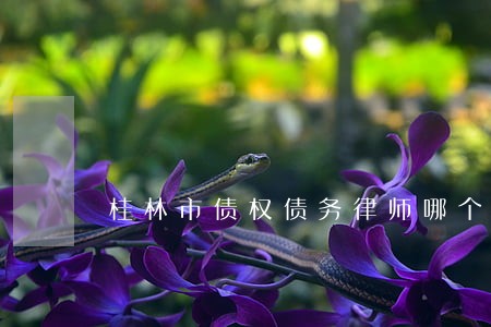 桂林市债权债务律师哪个好 桂林市债权债务律师哪个好