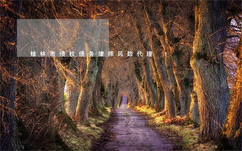 桂林市债权债务律师风险代理