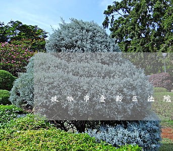 桂林市叠彩区法院拍卖