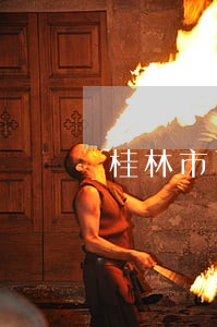 桂林市司法委书记 桂林市司法委书记