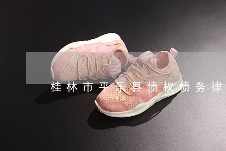 桂林市平乐县债权债务律师 桂林市平乐县债权债务律师