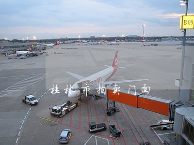 桂林市拍卖门面 桂林市拍卖门面