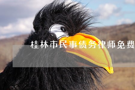 桂林市民事债务律师免费咨询 桂林市民事债务律师免费咨询