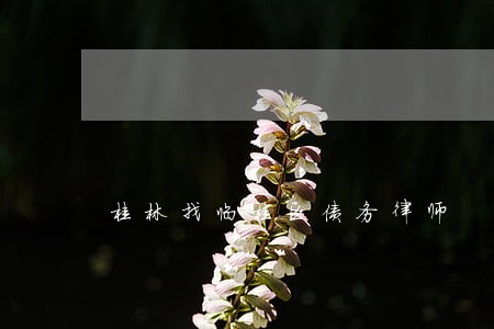 桂林找临桂区债务律师 桂林找临桂区债务律师